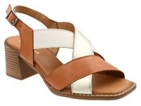 5904 cuero-oro y crema